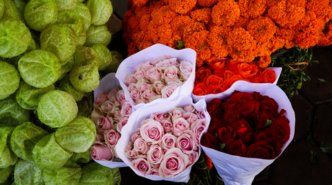 pink and red bunches of roses wrapped up for sale at the flower farm next to orange chrysanthemums