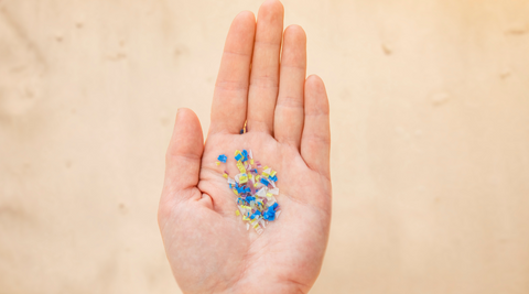 Hand holding bunch of tiny pieces of plastic in multicoloured with the beach in the background for are dried flowers sustainable