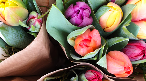 close up of individually wrapped tulips in multicolours for posy flowers