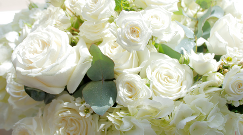 close up of white flower bouquet of roses