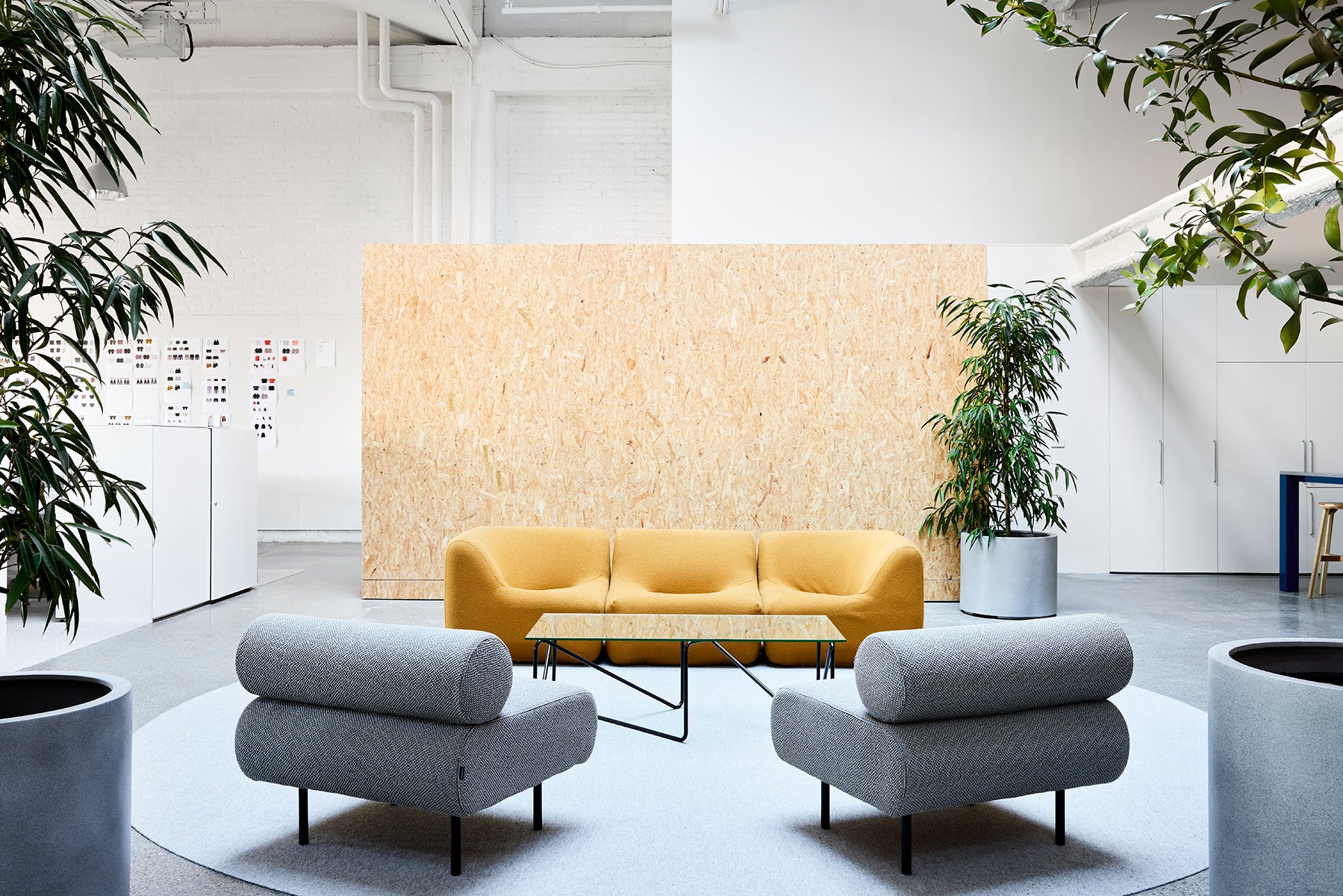 Cabin Seat |MAAP HQ BY CLARE COUSINS ARCHITECTS| DesignByThem