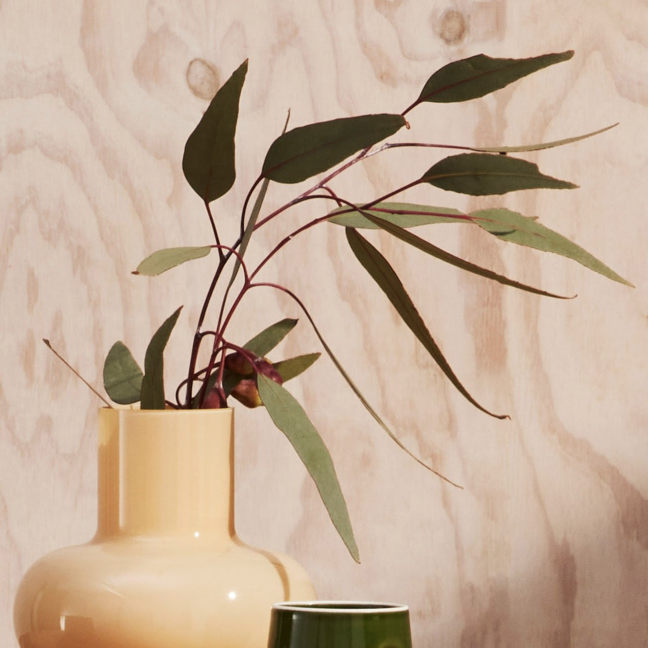 Eucalypt | DesignByThem