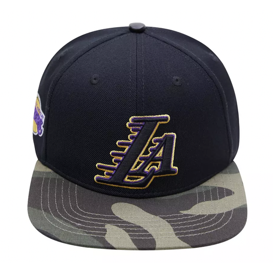 Pro Standard Los Angeles Dodgers Gradient Snapback- Blue (LLD733523)