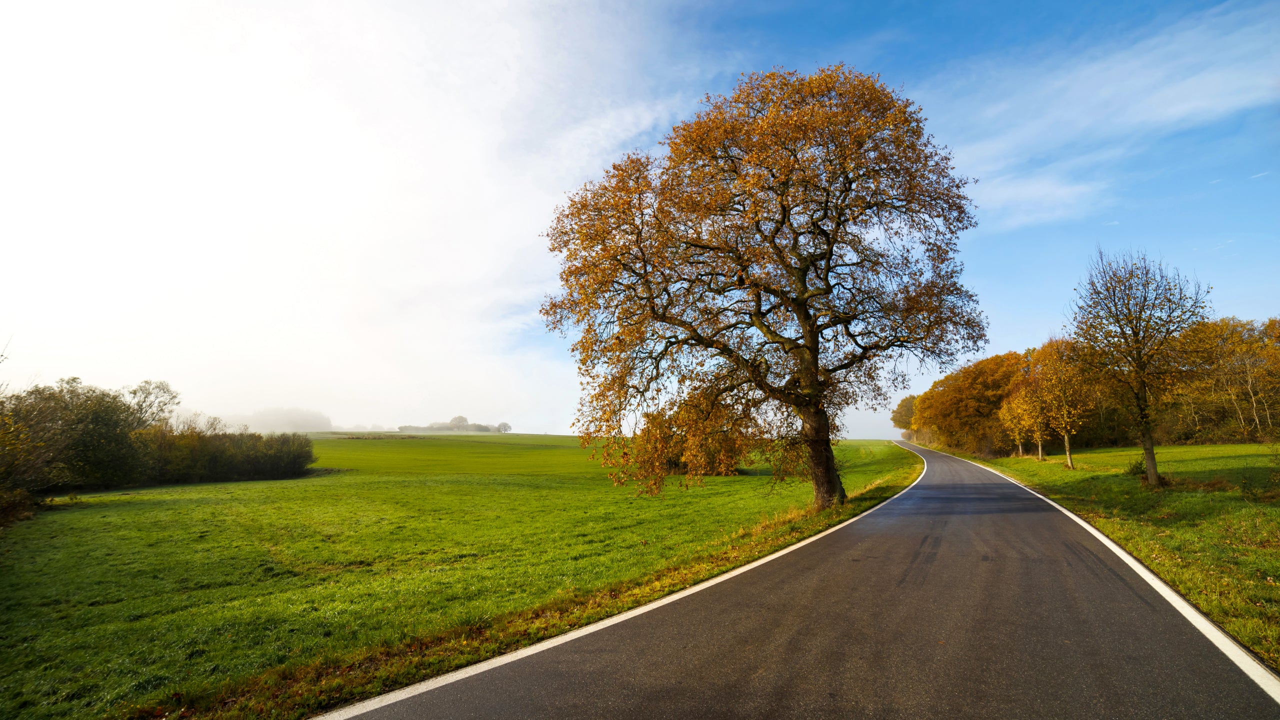 Good quality road in the countryside