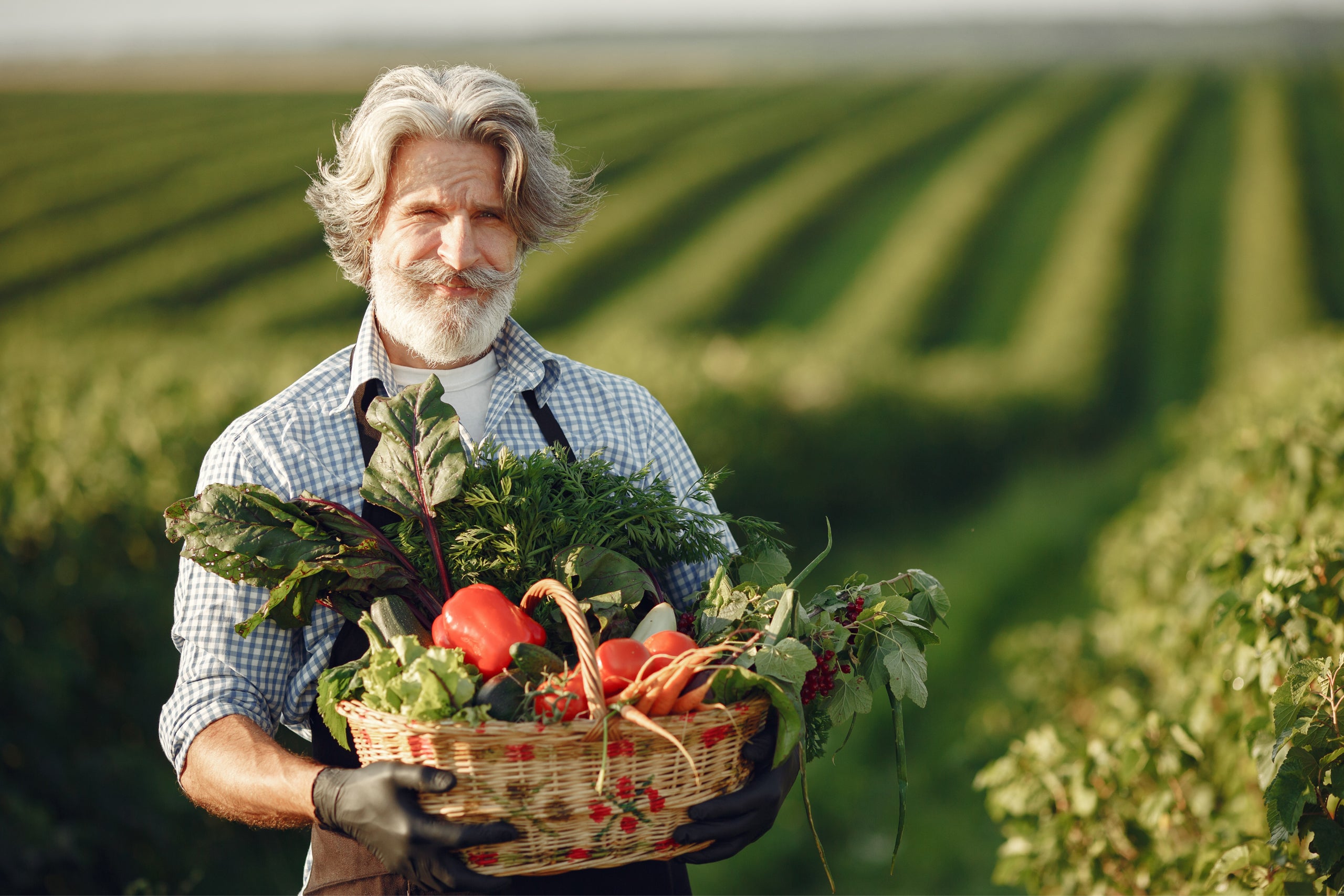 Farmer holding basket vegetables