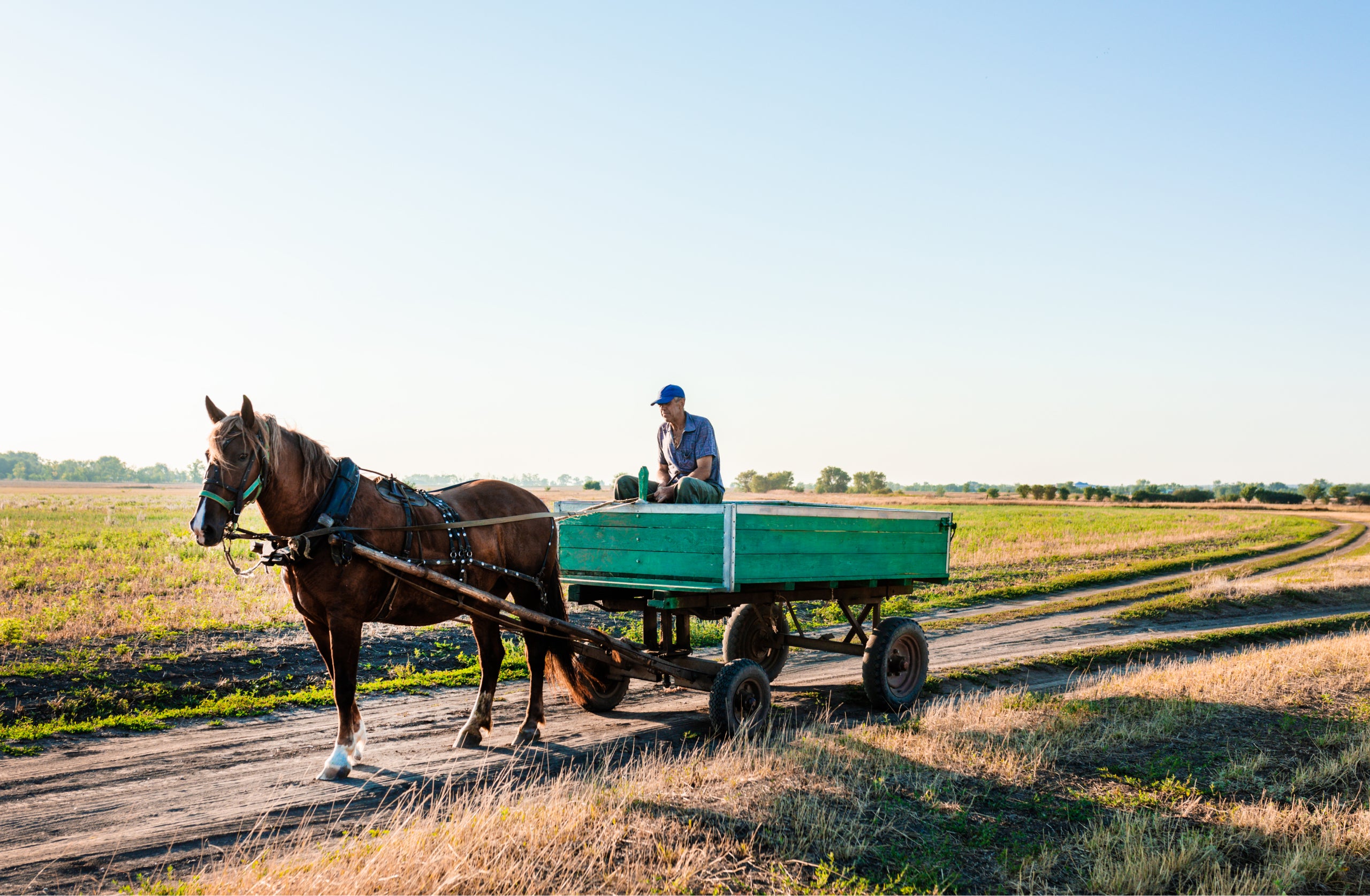 Rural Transportation