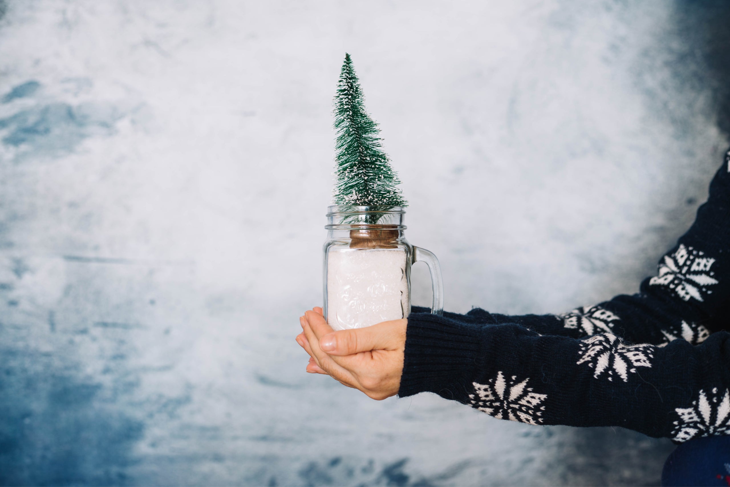 Hands holding small christmas tree