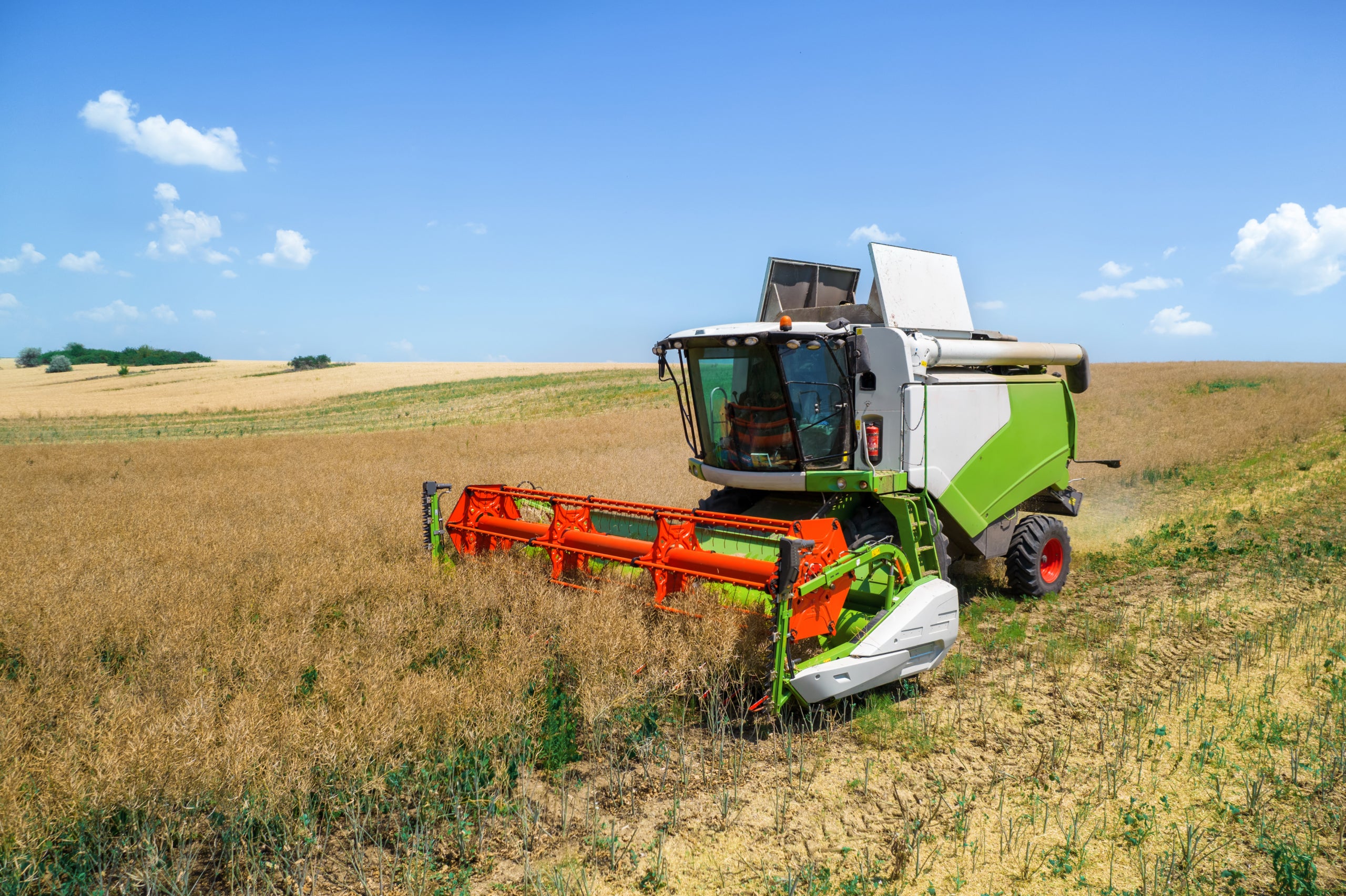 Harvester gathering crops