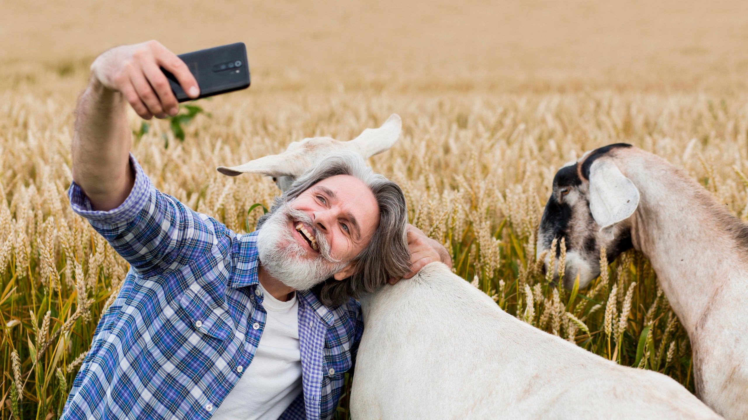 Farmer taking slefie with goats