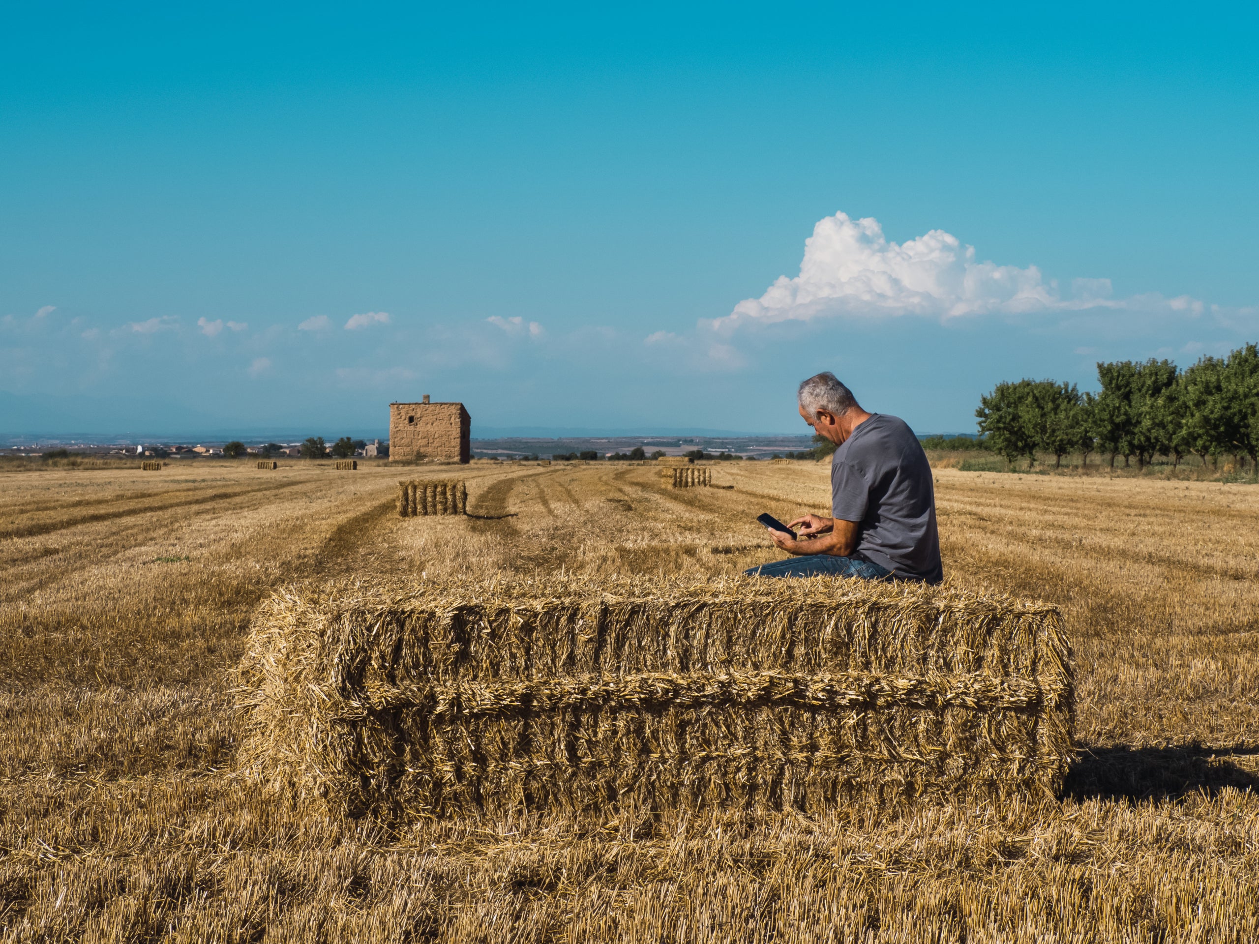 Farmer sitting straw bale looking mobile phone