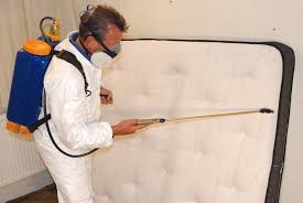 Toxic Bed Bug Chemical Pesticides Being Sprayed on a Mattress - Yuck!