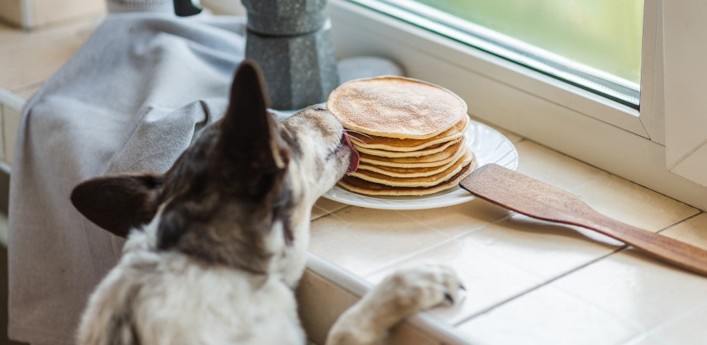 Dog pancakes, anyone? – YuMOVE