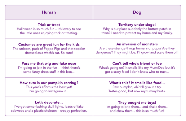 Table of text explaining how a dog might feel at Halloween