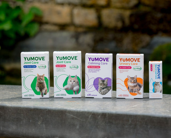 YuMOVE Cat product range