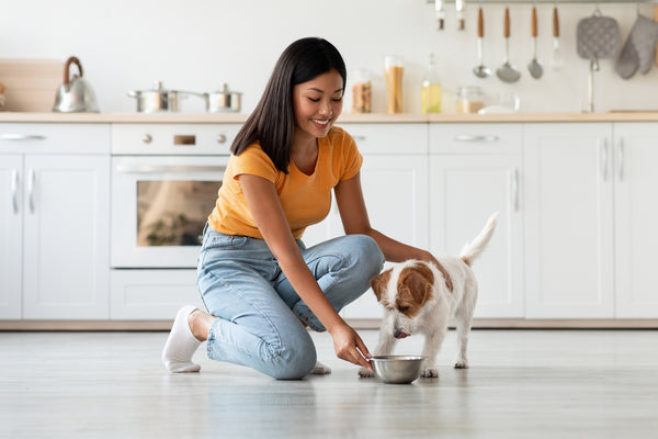 Woman feeding a dog