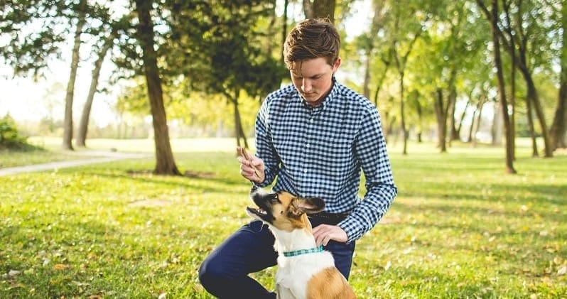 Young man and dog at the park