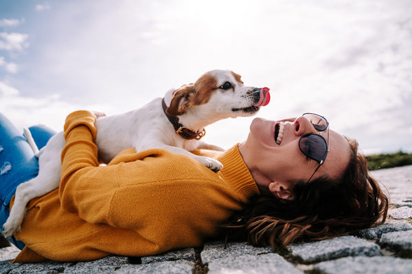 A happy dog cuddling their human