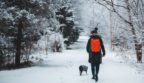 Wrap up warm on winter walks with your dog.