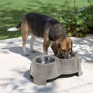 Ergo Raised Dog Feeder