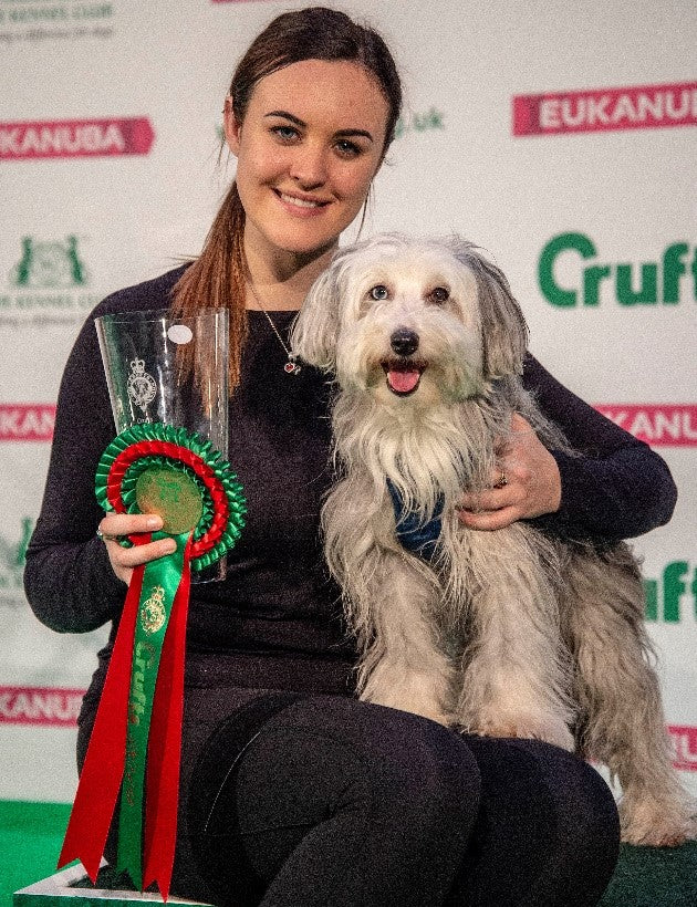 1.	Sully, Small Breed Agility winner 2018 and 2019