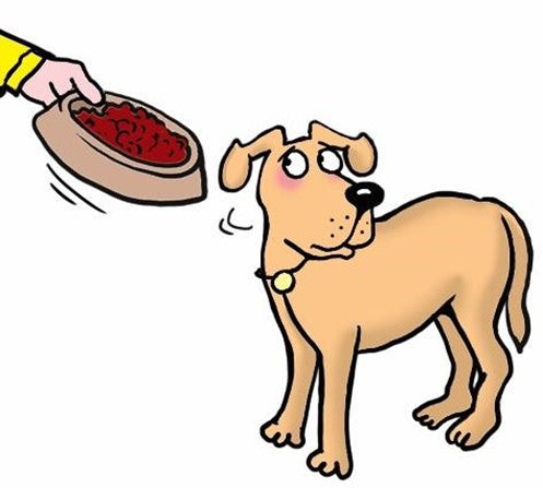 Dog cartoon loss of apetite