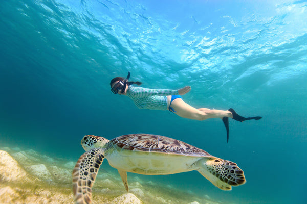 Woman swimming alongside turtle