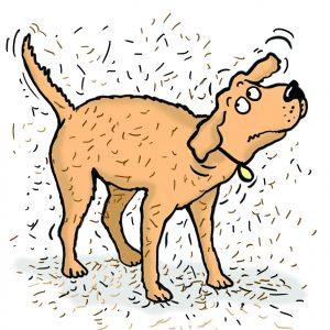 Cartoon dog shedding