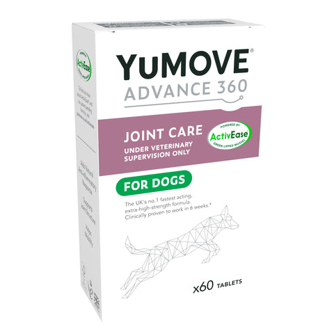 5 of the best senior dog toys – YuMOVE