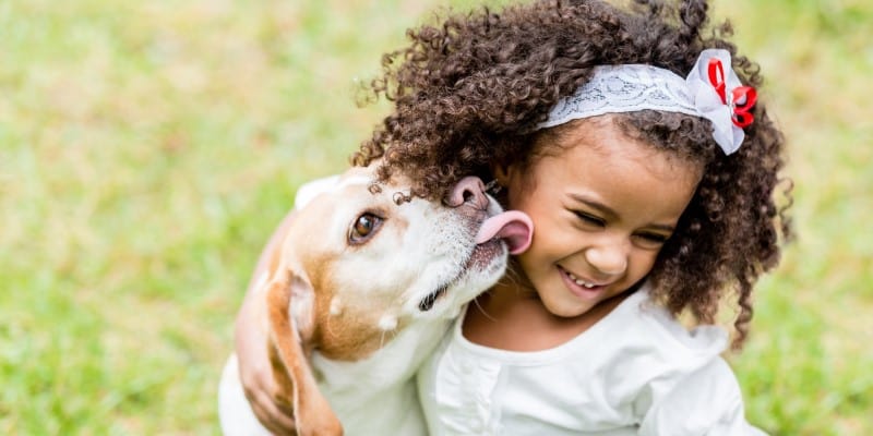 Dog licking happy child on the face, YuMove