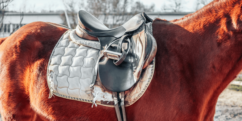 Old horse saddle
