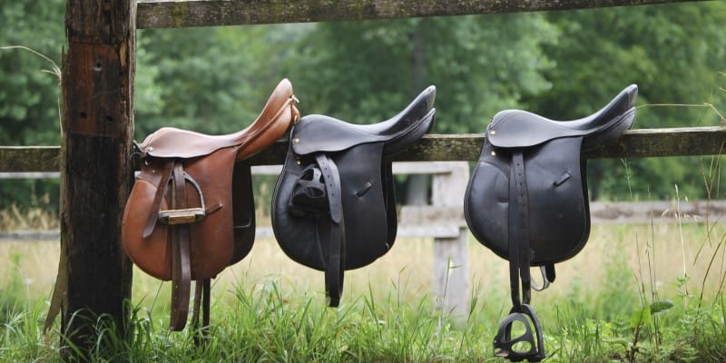 Row of horse saddles
