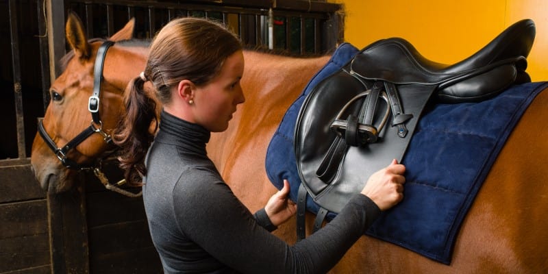 Fitting a horse's saddle