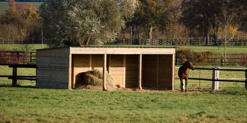 horse shelter in field