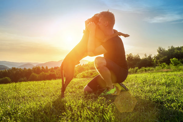 A human hugs a dog in a meadow