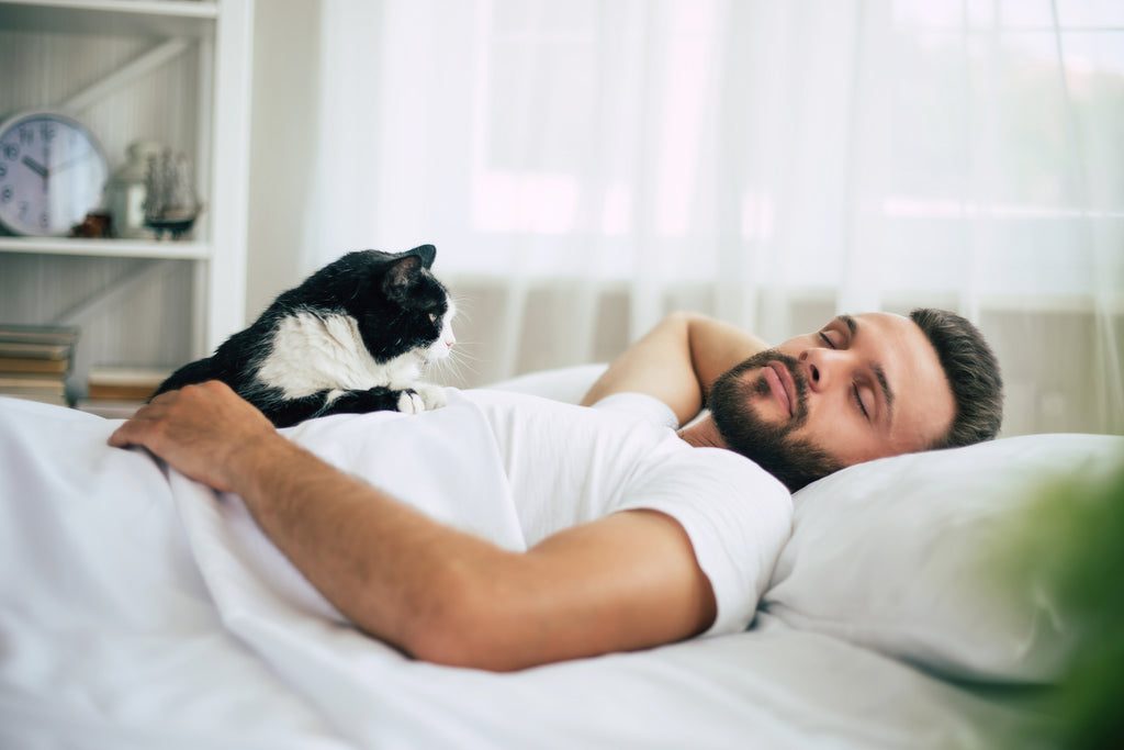 Man sleeping next to cat