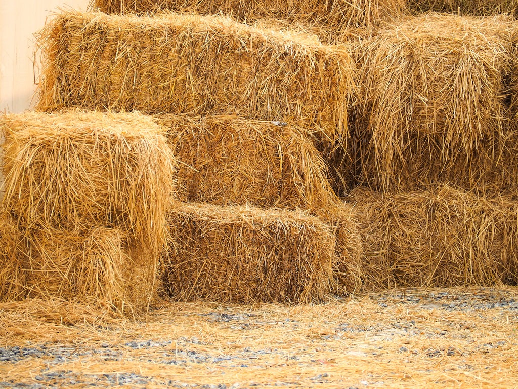 Hay and Haylage: what's the difference?