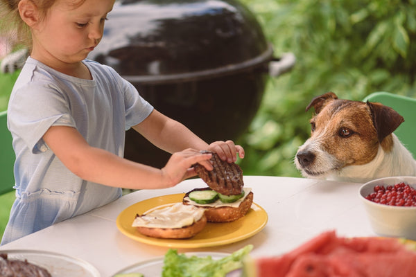 Dog and boy at BBQ with food