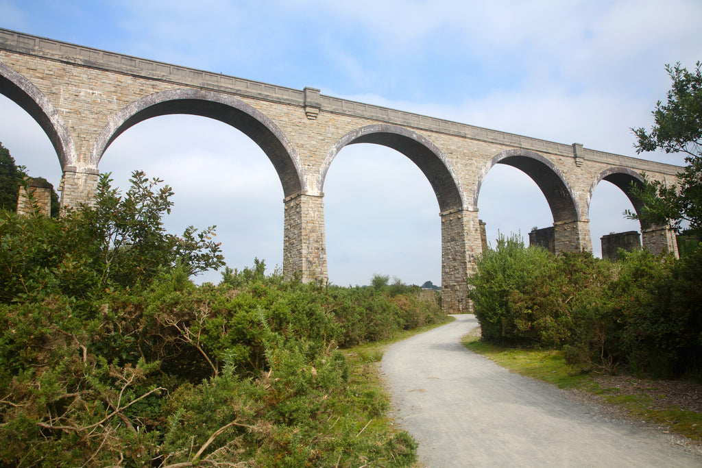 Path underneath a bridge in Tramway Trail Cornwall