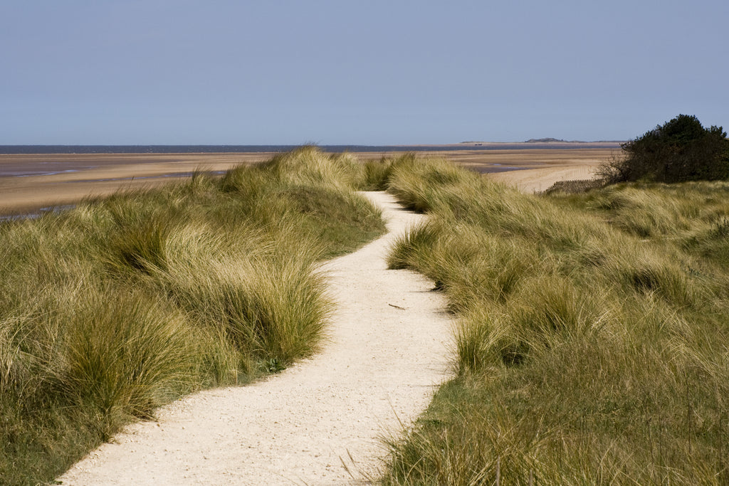 flat sand and grassy walk on Cromer beach Norfolk