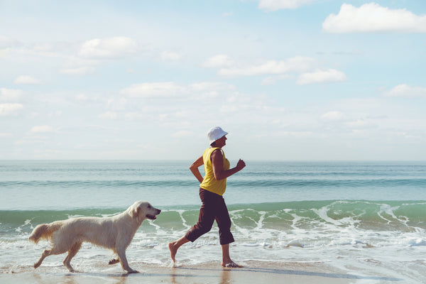 Dog and human on a beach run