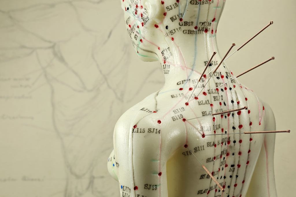 Acupuncture points on a mannequin