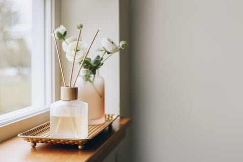 Humidifier vs Diffuser