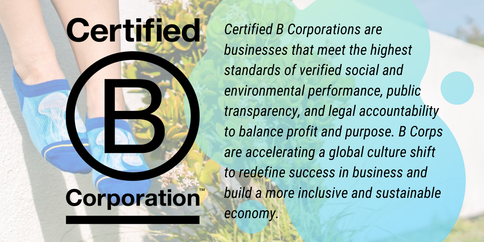 B Corporation Statement