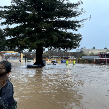 Soquel Park Flooding