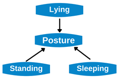 24 Hour Posture Management