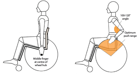 Biomechanics