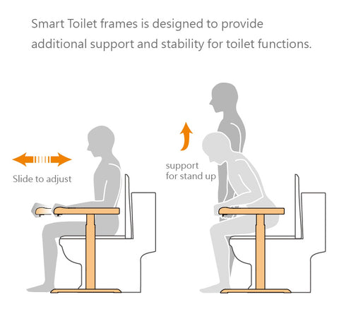 Smart Toilet Frame (support)