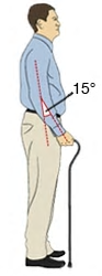 How to adjust your cane or walking stick to the right height