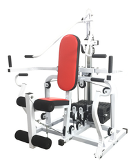 Sanction Challenger Seriers Accessible Training Equipment T-6600D (with seat)