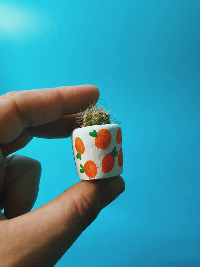 Oranges Mini Planter